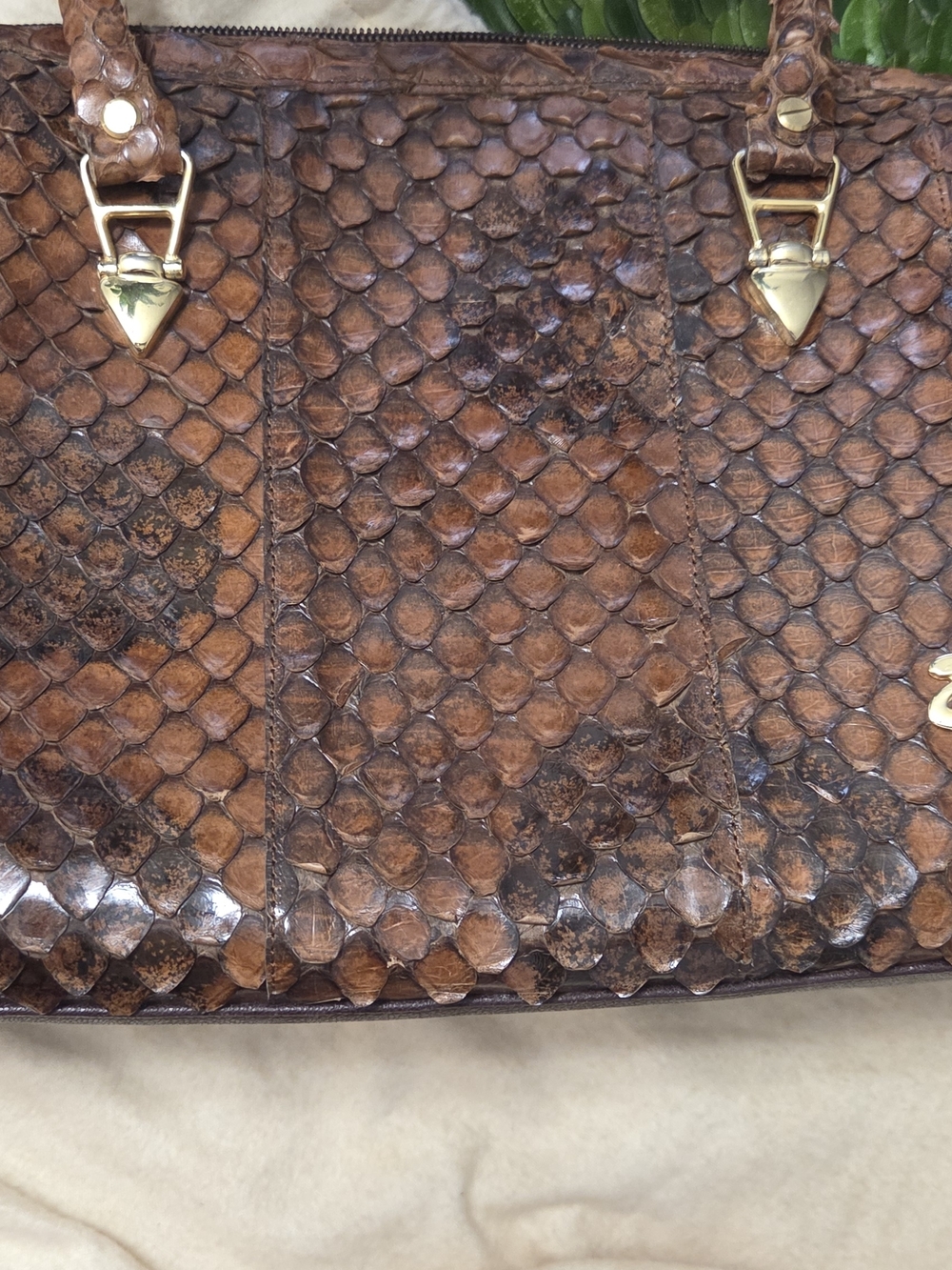 Brown Python-Texture Leather Tote Bag - Picture 5 of 7